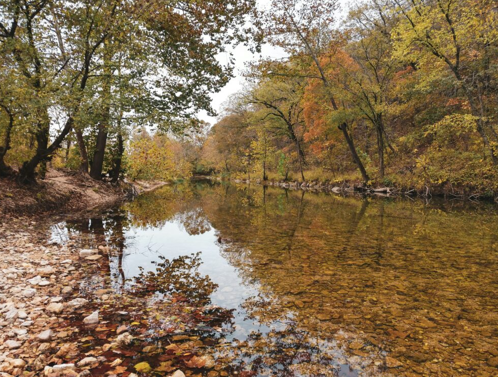 A calm river running through autumn woodland